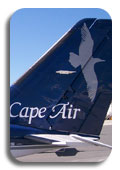 Cape Air image