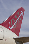 Omni Air International image