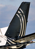 Silver Airways image